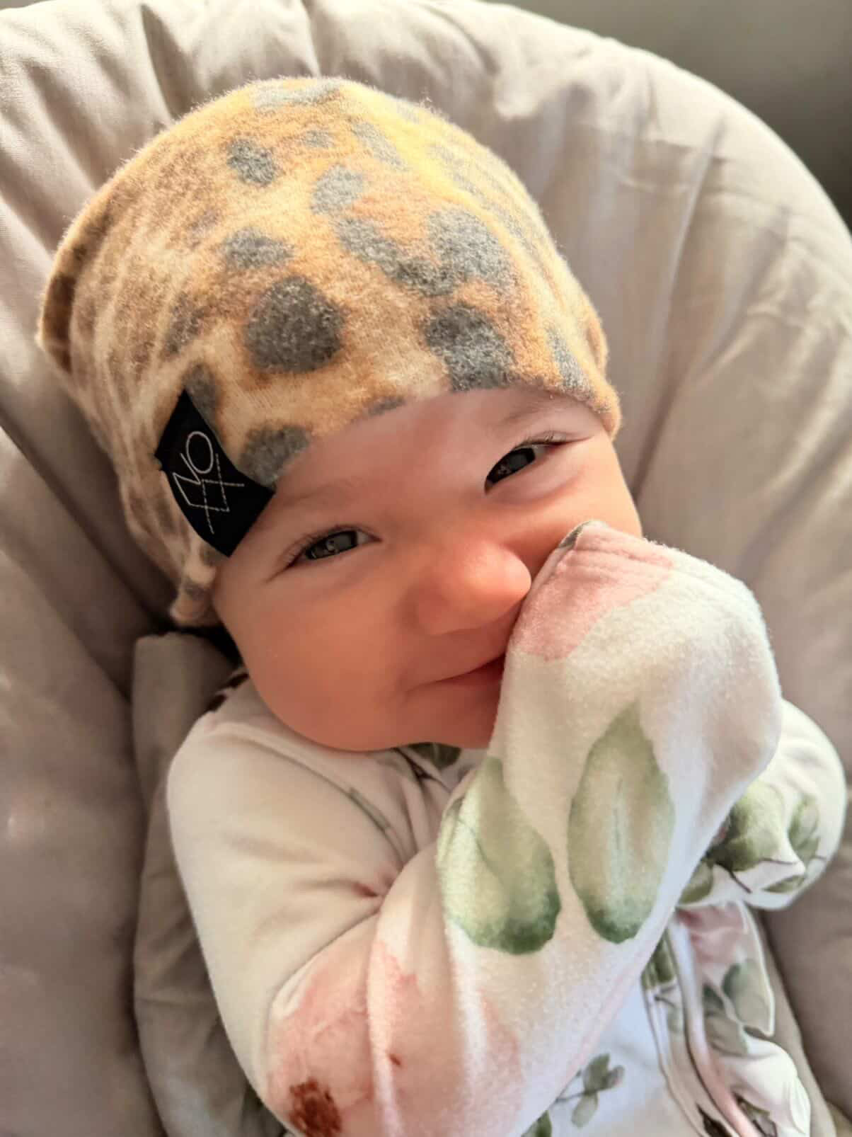 Cheetah | Sweater Knit Beanie